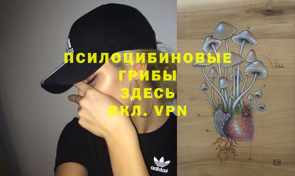 ALPHA-PVP Армянск