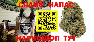 стаф Славянск-на-Кубани