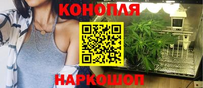 тгк Славгород