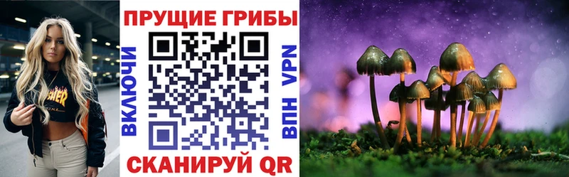Псилоцибиновые грибы мицелий  Строитель 