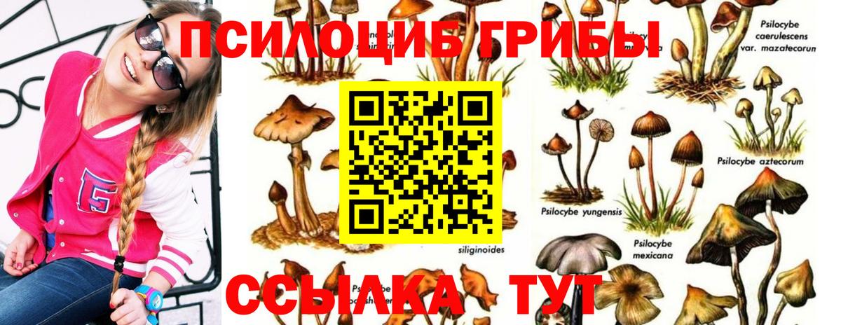 Строитель  купить наркотики цена  Псилоцибиновые грибы мухоморы  Вход с VPN  Галлюциногенные грибы Magic Shrooms 