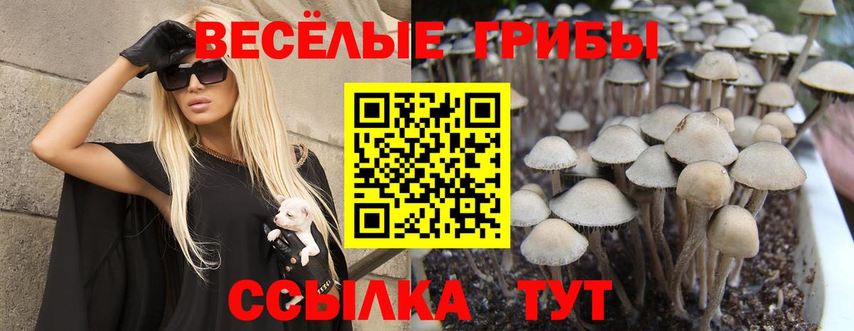Галлюциногенные грибы ЛСД Строитель
